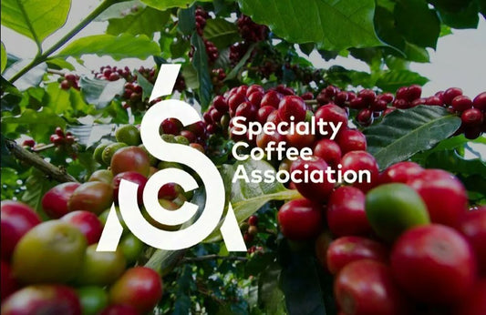 Hoe herken je Specialty koffie?