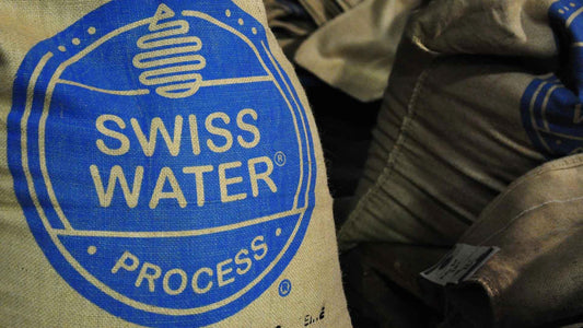Cafeïne in koffie: Het verhaal achter de Swiss Water Decaf methode
