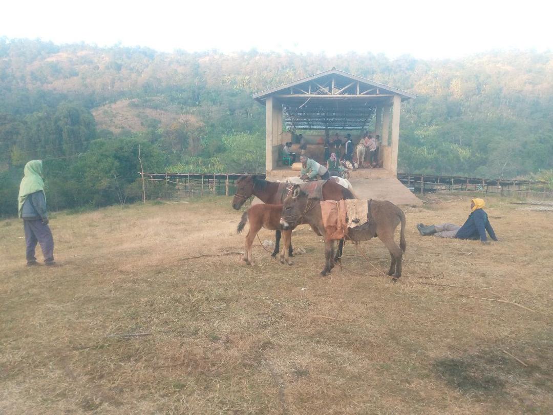 Ethiopia Kuri Mountain — vers gebrande Arabica koffiebonen
