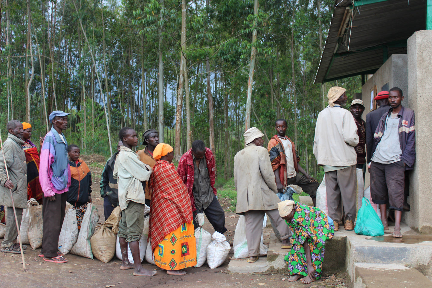 Burundi, Gahahe, verkoop koffiebonen