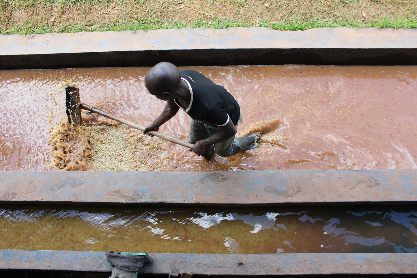 Burundi Turaco — vers gebrande Arabica koffiebonen