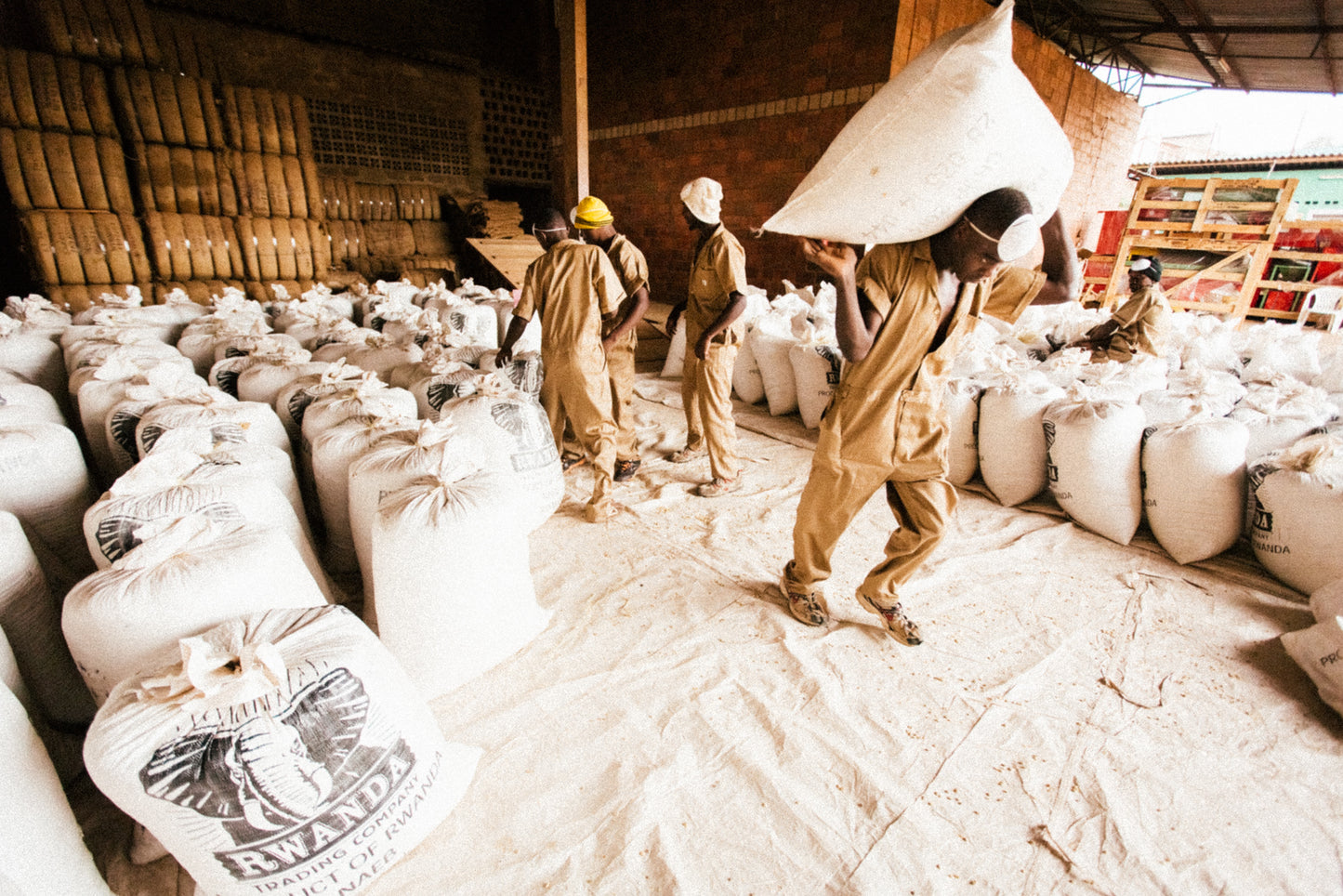 Rwanda 1000 Hills — vers gebrande Arabica koffiebonen