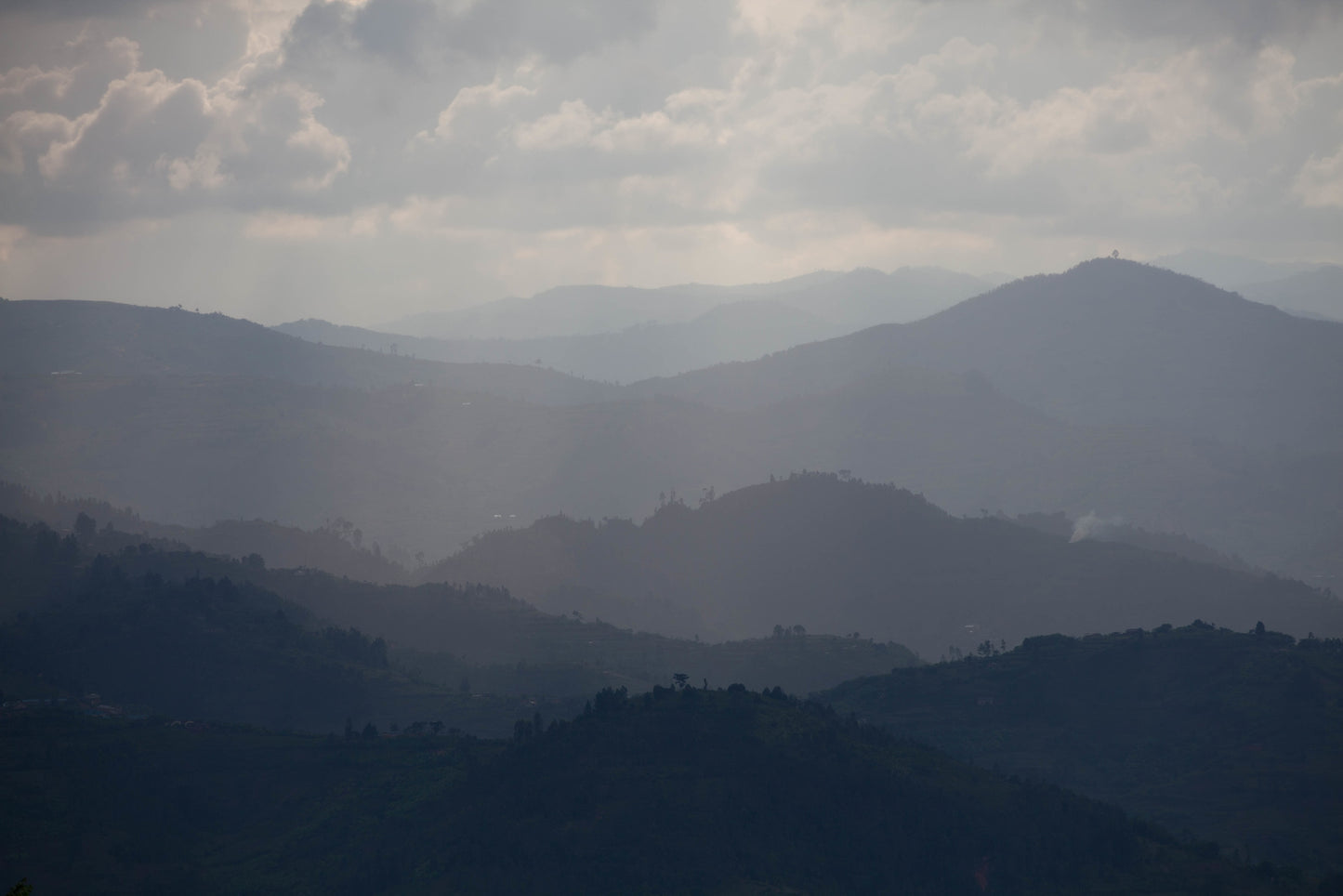 Rwanda 1000 Hills — vers gebrande Arabica koffiebonen