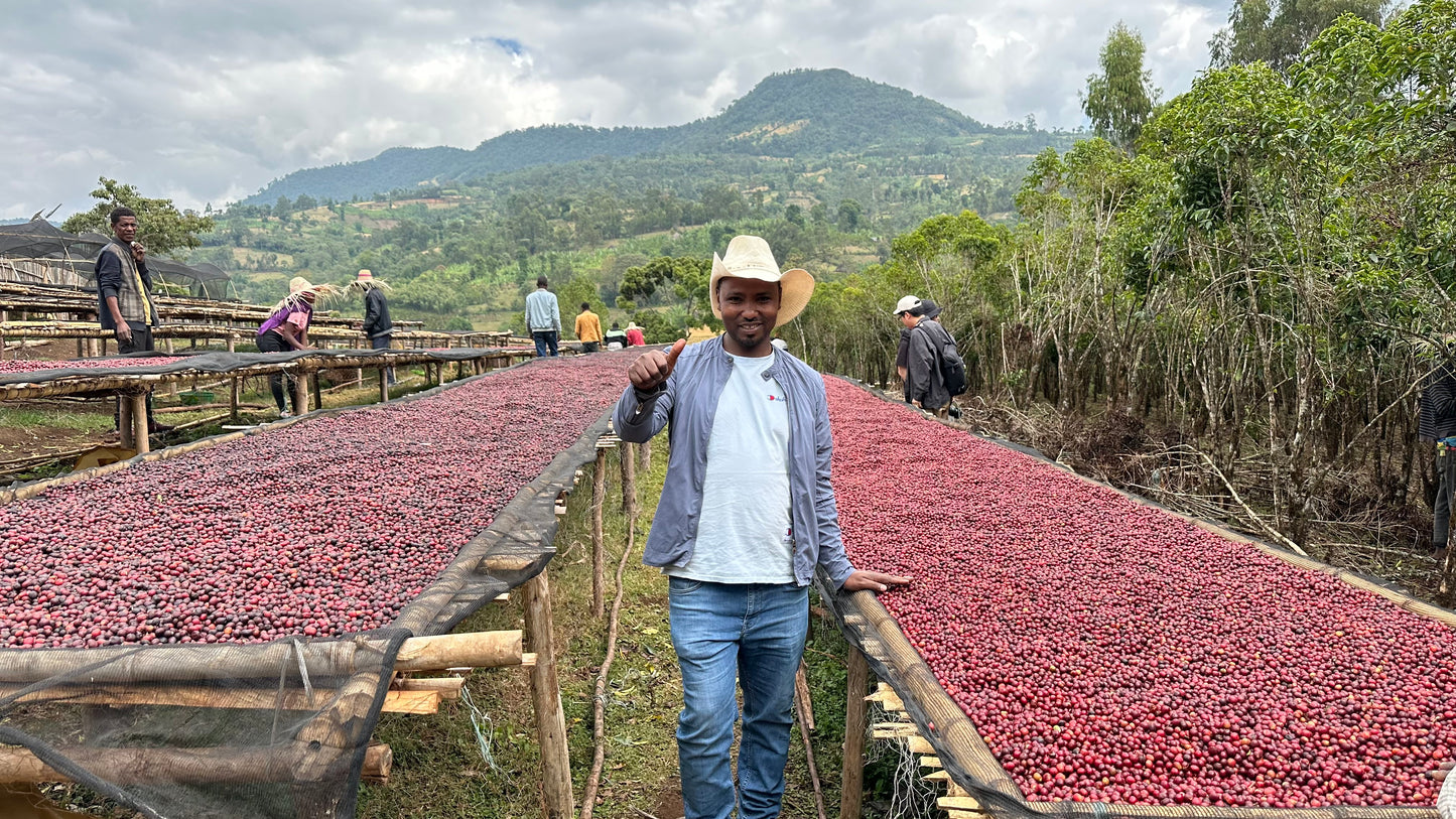 Ethiopia Bombe Basha Bakele — vers gebrande Arabica koffiebonen