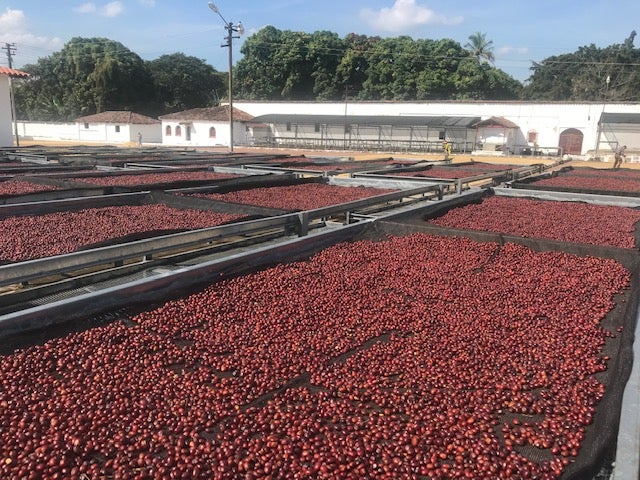 El Salvador El Guamo — vers gebrande Arabica koffiebonen