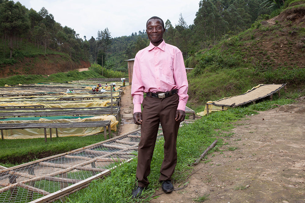 Rwanda Nyungwe — vers gebrande Arabica koffiebonen