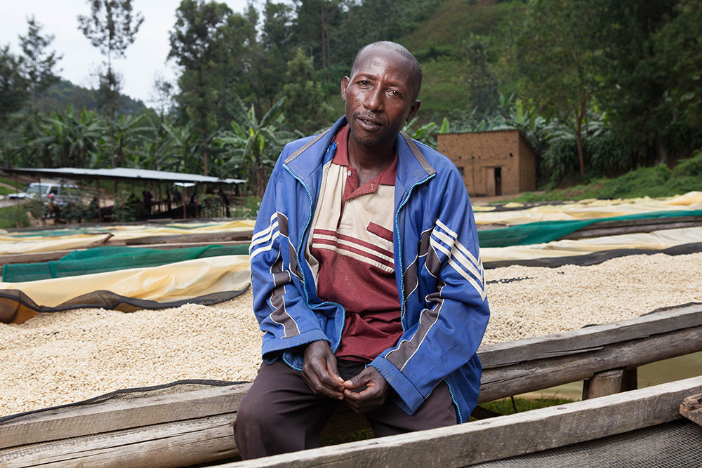 Rwanda Nyungwe — vers gebrande Arabica koffiebonen