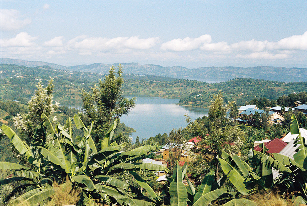 Rwanda Nyungwe — vers gebrande Arabica koffiebonen