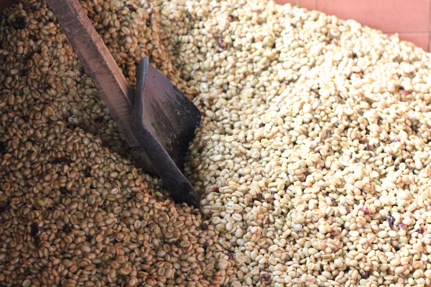 Colombia Wuchii Amucaflome — vers gebrande Arabica koffiebonen